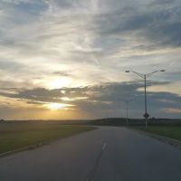 Shady Oaks ico