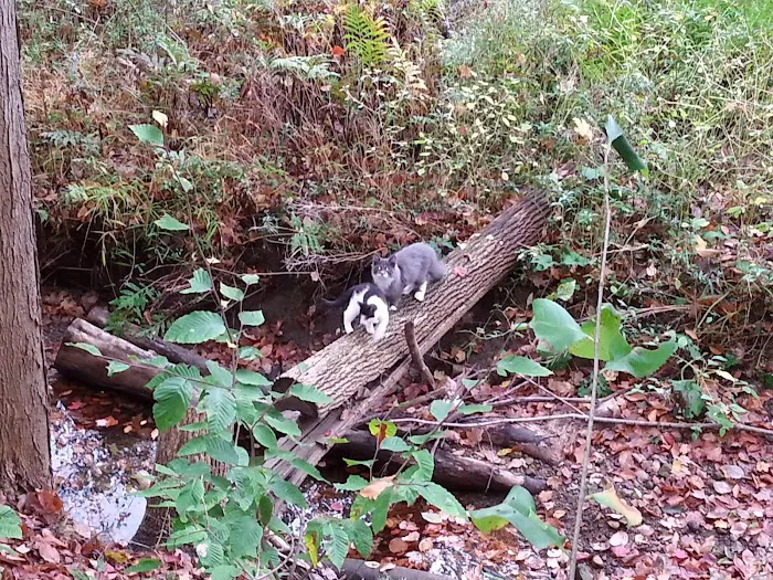 Canaan Acres Campground Picture 9