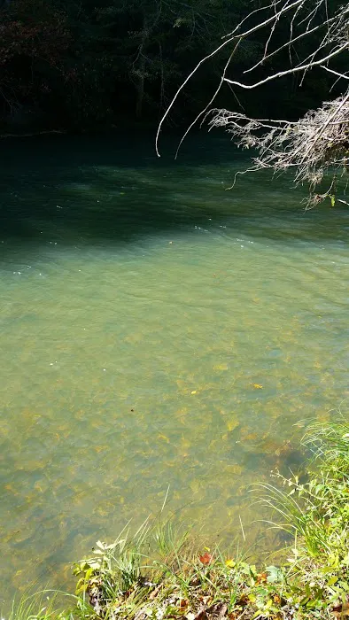 BLUE MEADOW Picture 2
