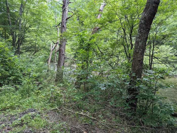 Blue Bend Campground Picture 9