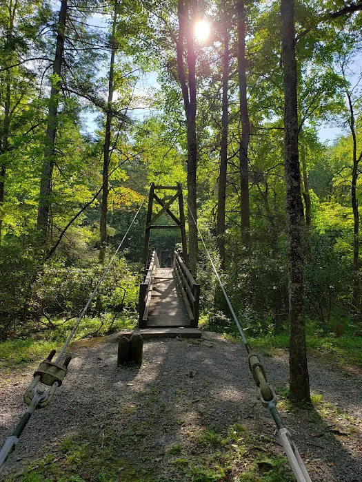 Blue Bend Campground Picture 10