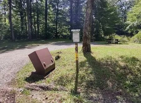 Williams River Campsite 1