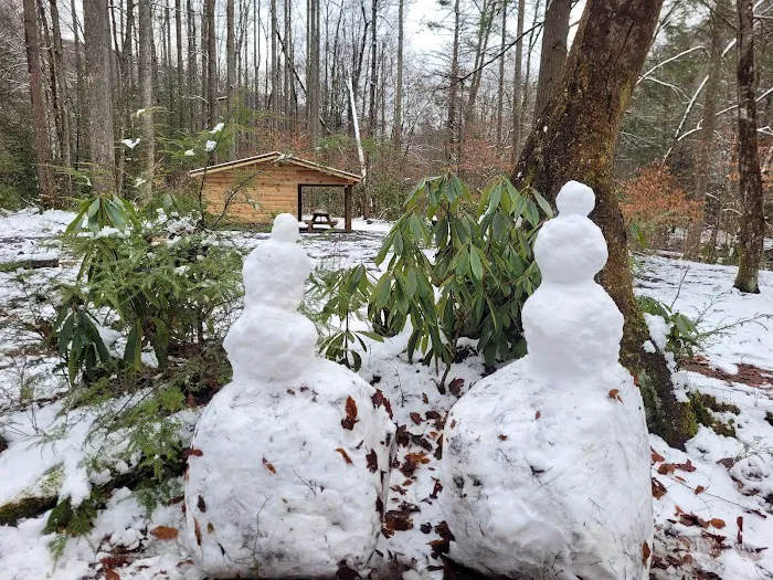 Cranberry Campground Picture 2