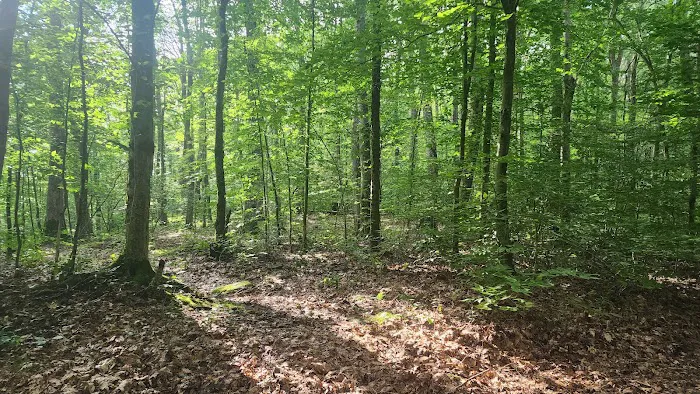 Bishop Knob Campground Picture 5
