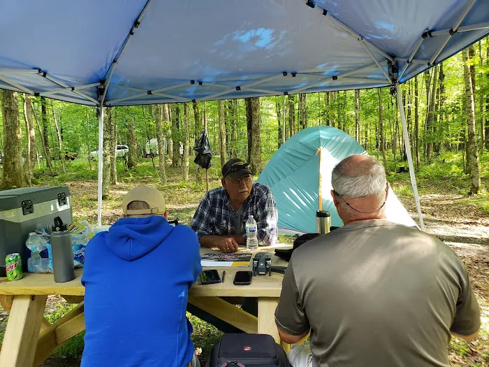 Bishop Knob Campground Picture 9