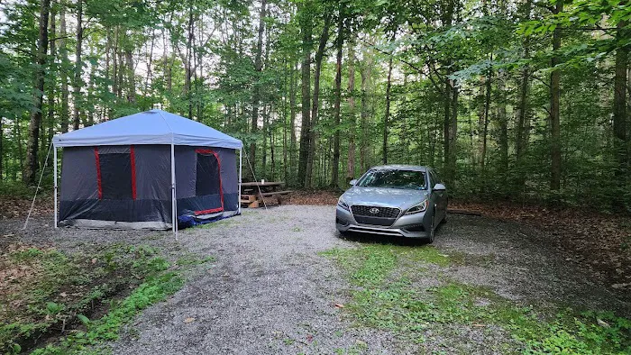 Bishop Knob Campground Picture 2