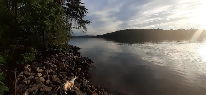 Betty's Island Picture 3