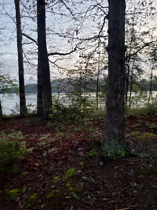 Betty's Island Picture 8