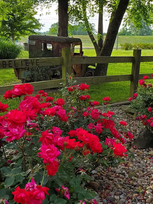 Mt. CarMerriel RV Park Picture 6