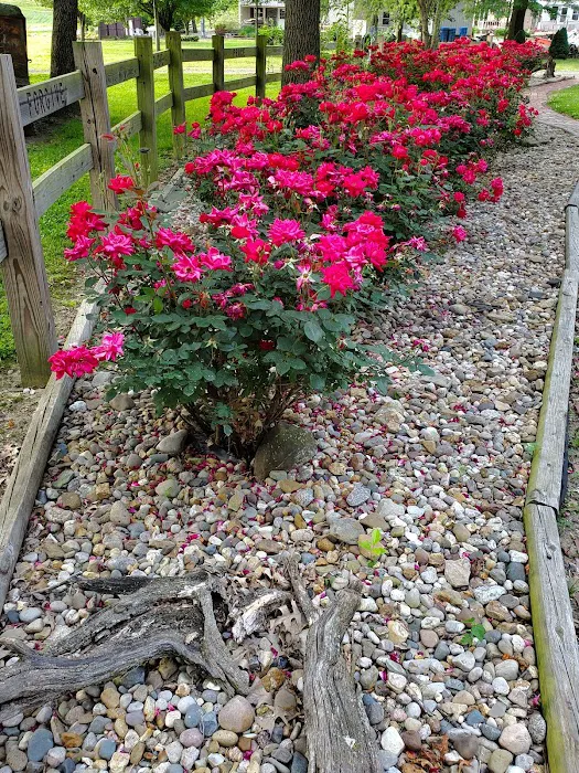 Mt. CarMerriel RV Park Picture 7