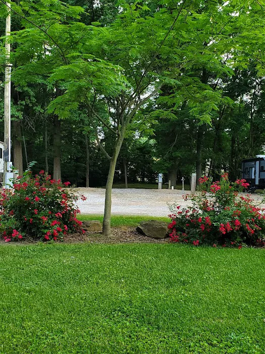 Mt. CarMerriel RV Park Picture 4