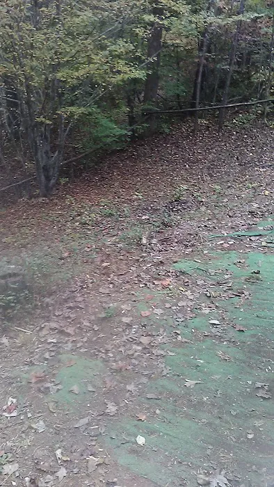 Blue Ridge Campground & Marina Picture 5