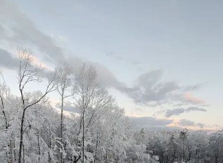 Leesville Lake Campground, LLC