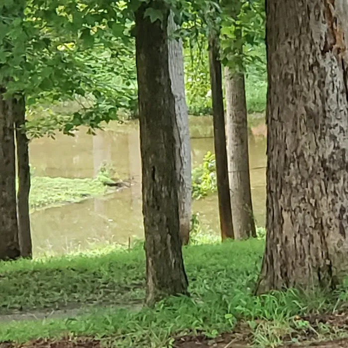 Lazy Cove Campground Picture 6