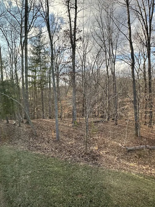 Don's Cab-Inns Campground Picture 8