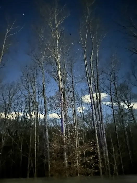 Don's Cab-Inns Campground Picture 9