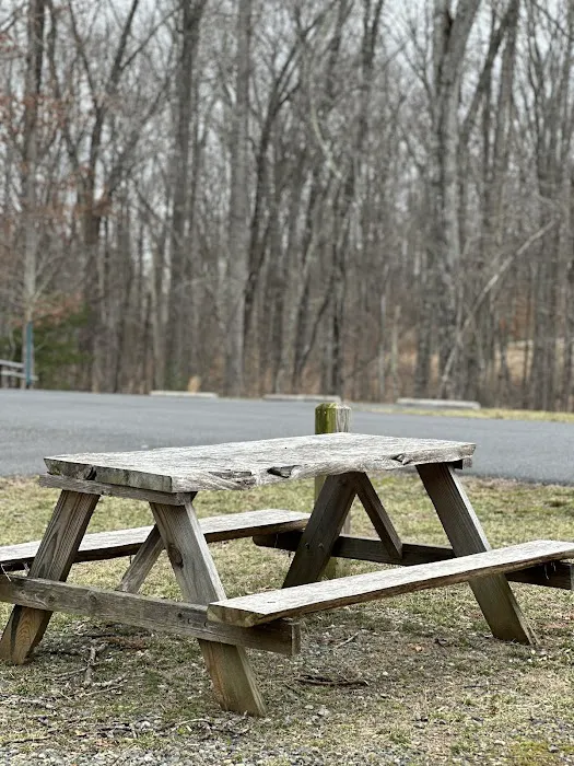 Don's Cab-Inns Campground Picture 7