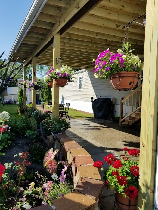Oasis Mobile Home Park Picture 10