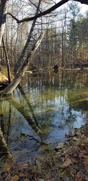 Caldwell Fields Campground Picture 6