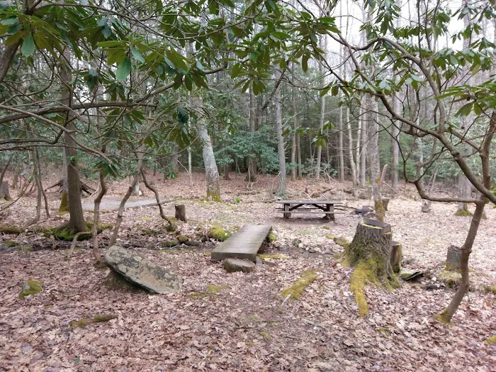 White Rocks Campground Picture 8