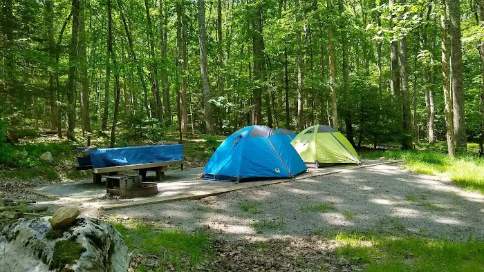 White Rocks Campground Picture 3
