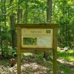 White Rocks Campground