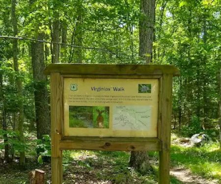White Rocks Campground