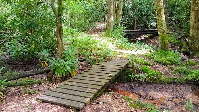 White Rocks Campground Picture 6