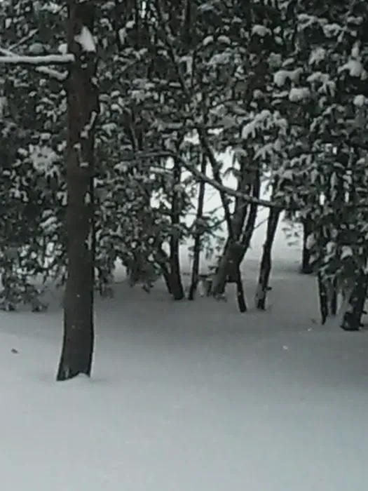 Creek Ridge Picture 2