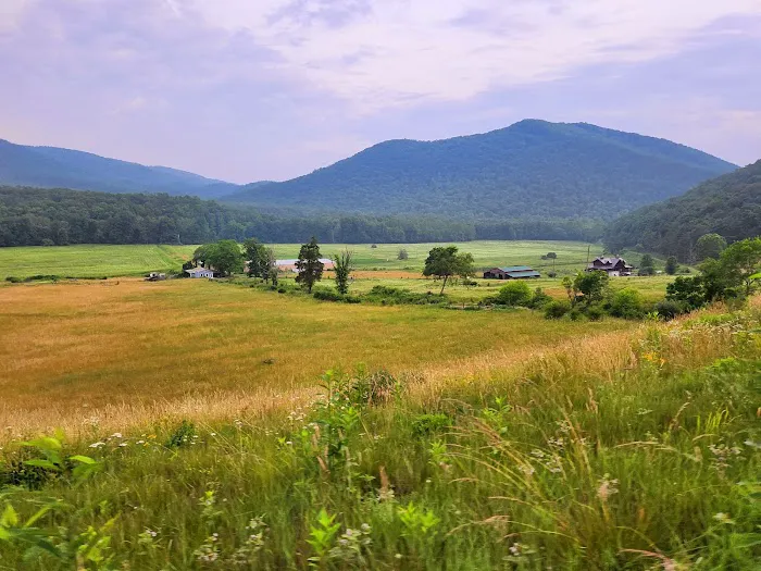 River Ridge Campground Picture 6