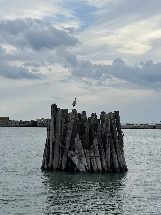 Kiptopeke State Park Picture 9