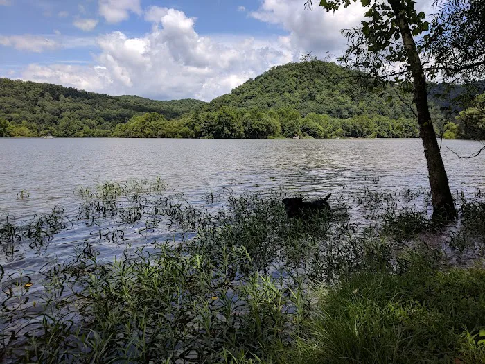 US Army Corps of Engineers Picture 5