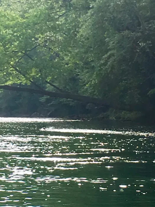 Elk River Campground Picture 10
