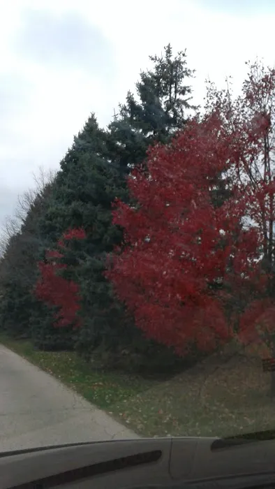 Woodland Mobile Home Park Picture 4