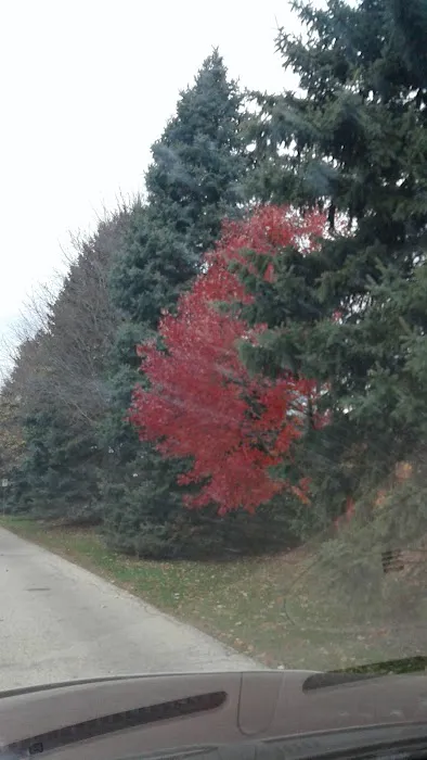 Woodland Mobile Home Park Picture 2