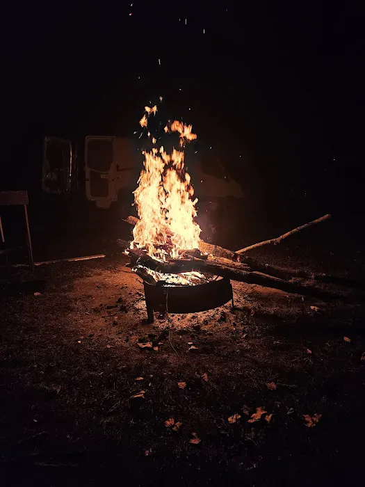 Wolf Run State Park Campground Picture 4
