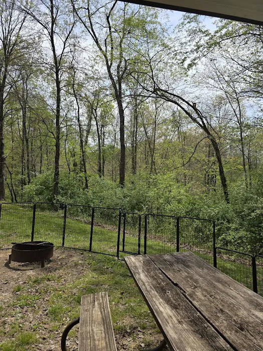 Wolf Run State Park Campground Picture 9