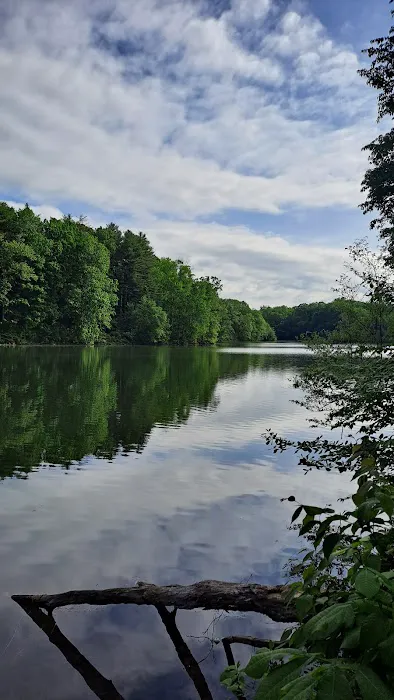 Wolf Run State Park Campground Picture 5