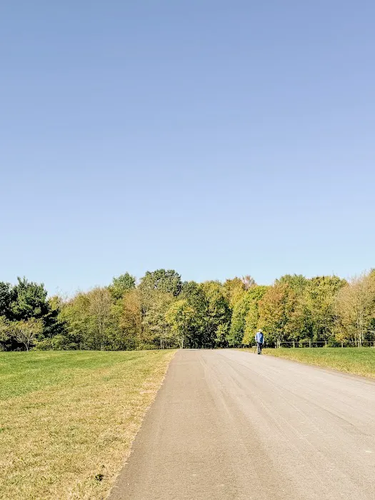 Timbercrest Camp and RV Park Picture 2