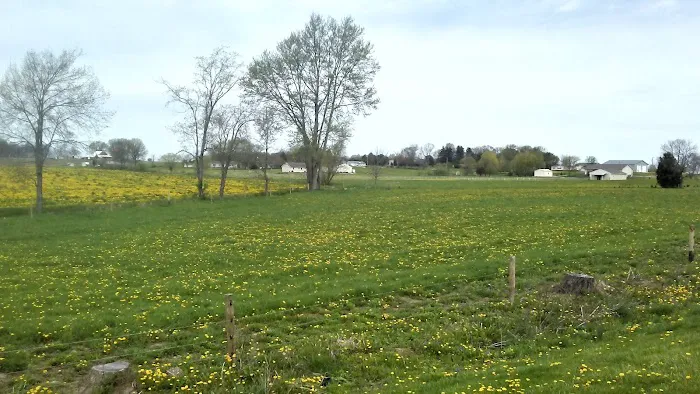 Caskeys Campground Picture 1