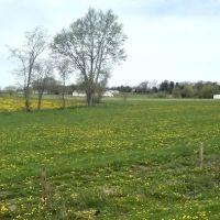 Caskeys Campground ico