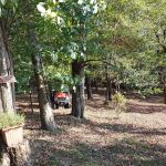 Fiat Hill Hipcamp