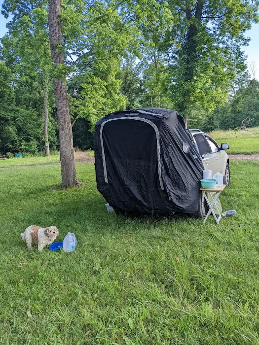 Turkey Hollow Campground Picture 9