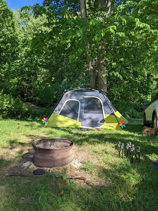 Turkey Hollow Campground Picture 7