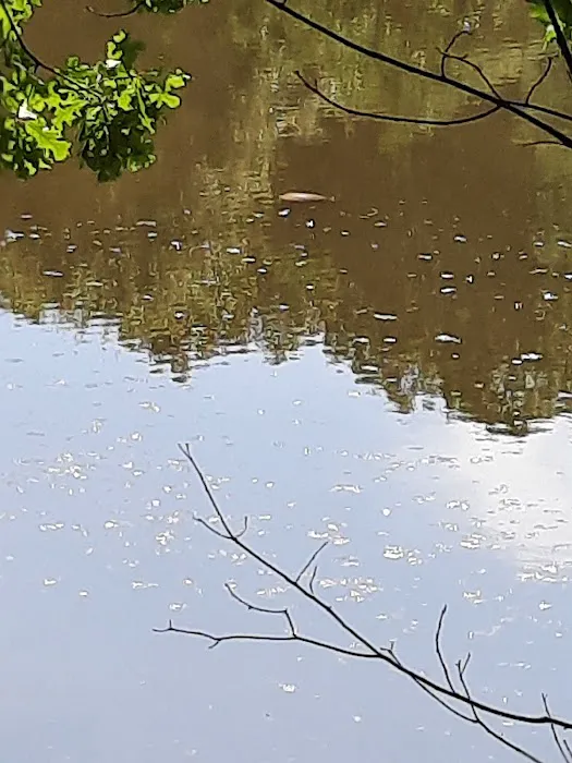 Davlin Lake Picture 2