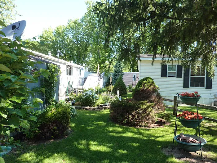 Chain O Lakes Mobile Homes Inc Picture 4