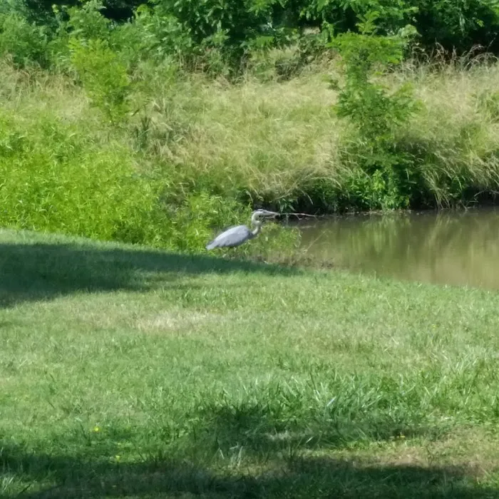 Blennerhassett RV Park Picture 2