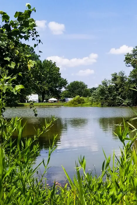Blennerhassett RV Park Picture 3