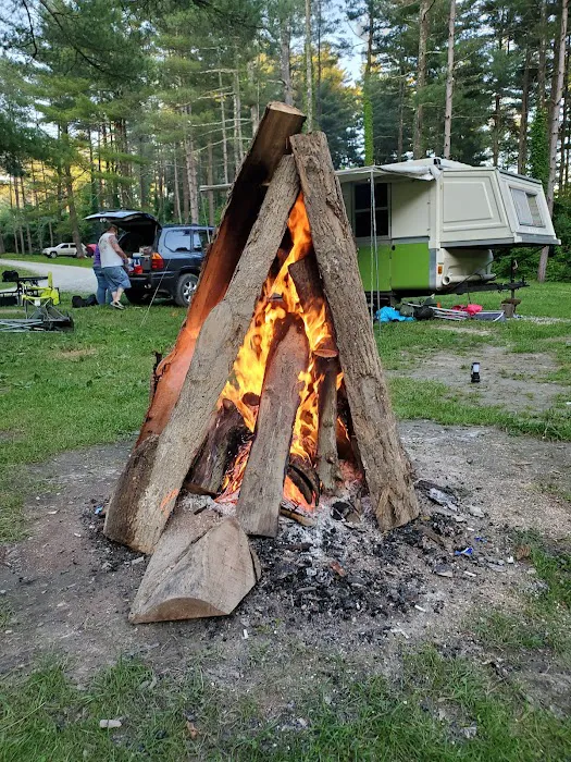 Sawmill Road Campground D - Jesse Owens State Park Picture 8