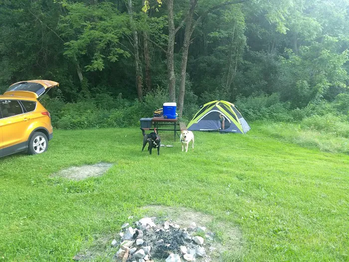 Sawmill Road Campground D - Jesse Owens State Park Picture 6